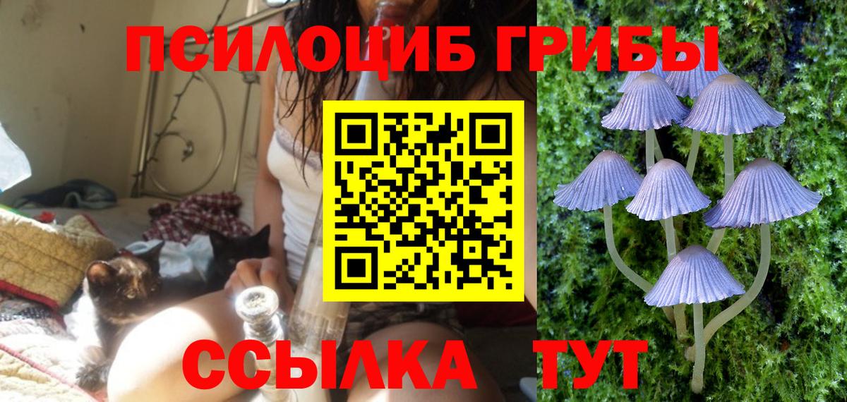 Стрежевой  Псилоцибиновые грибы прущие грибы  Вход с VPN  Галлюциногенные грибы GOLDEN TEACHER 